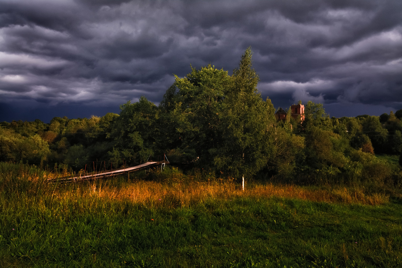 Жизнь вокруг