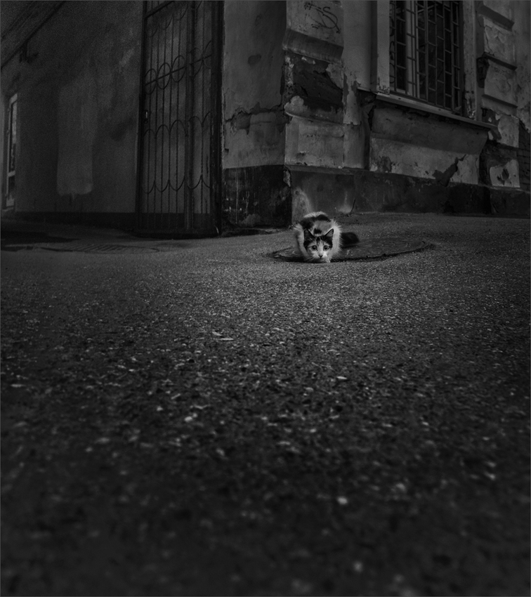 в сумерках...