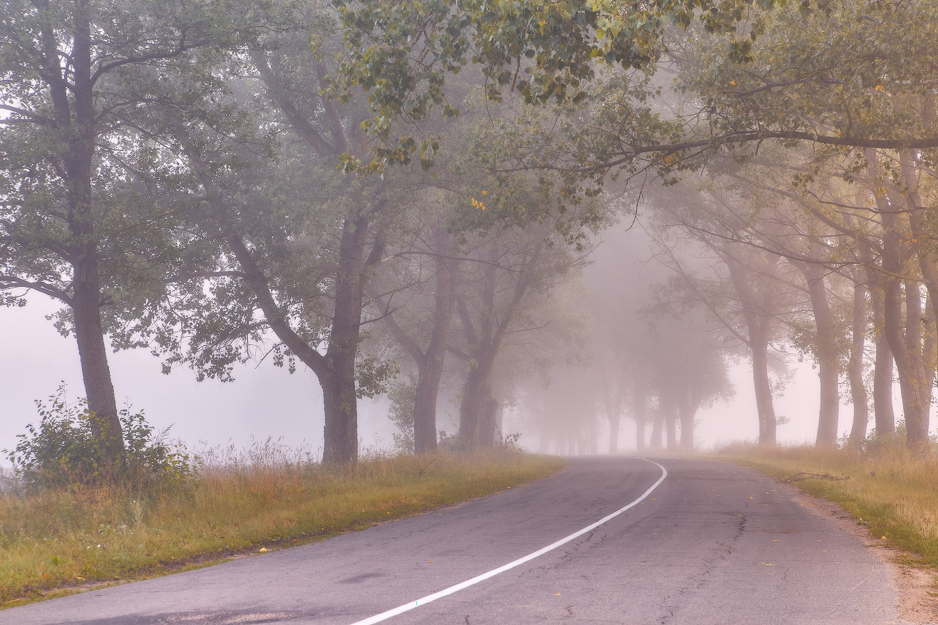 Утром августа, старыми дорогами