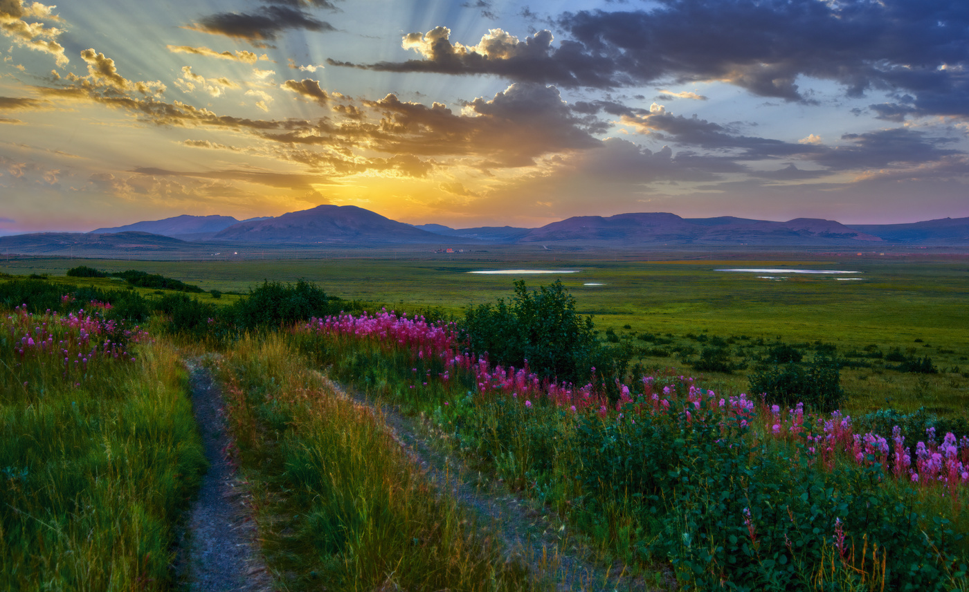 Золотой рассвет