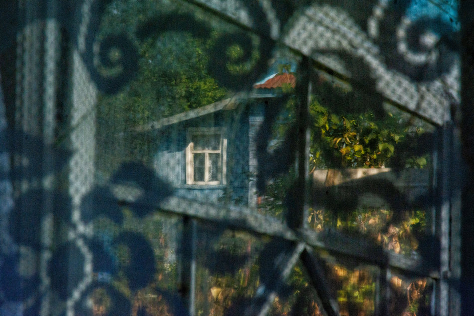 Жизнь вокруг