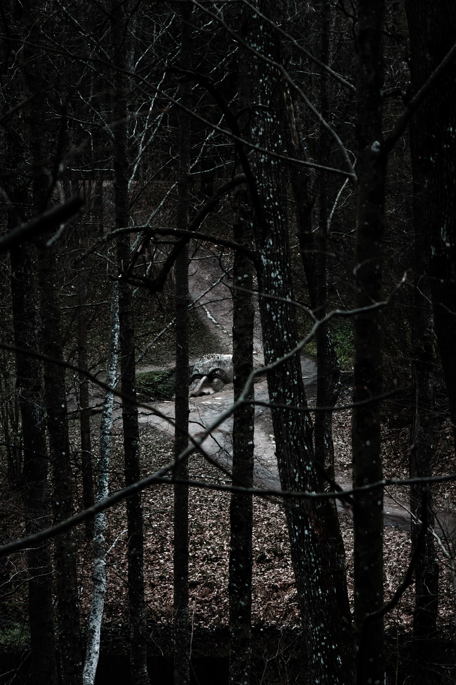 Там чудеса: там леший бродит...- 6