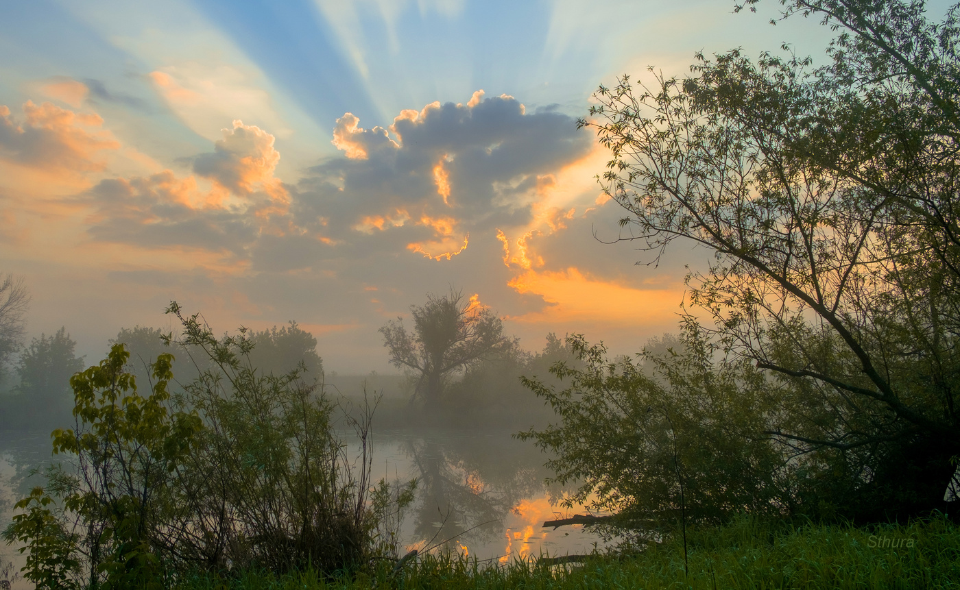Весеннее утро.