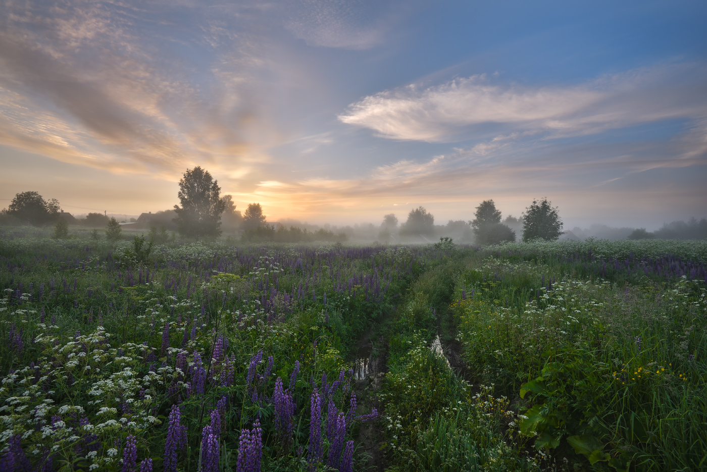 по утренней росе