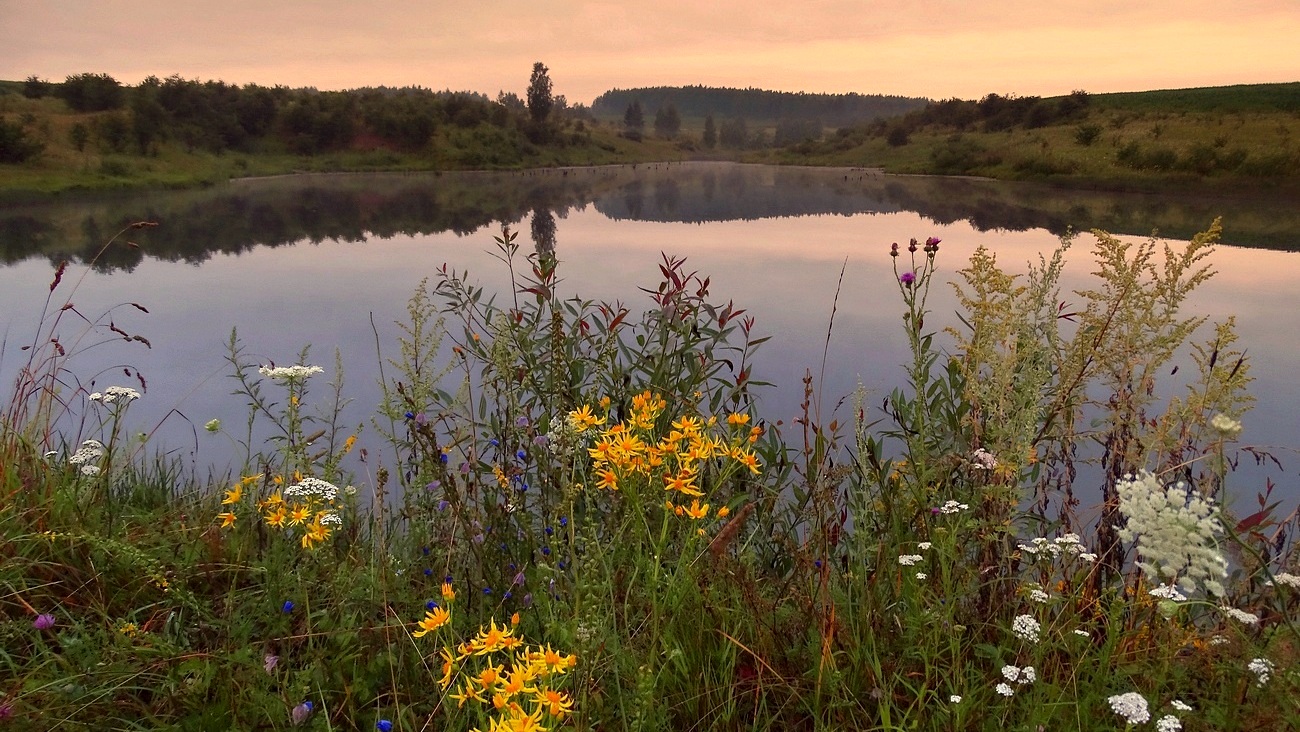 Утром на берегу озера