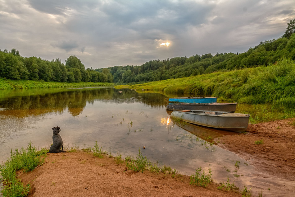 Жизнь вокруг