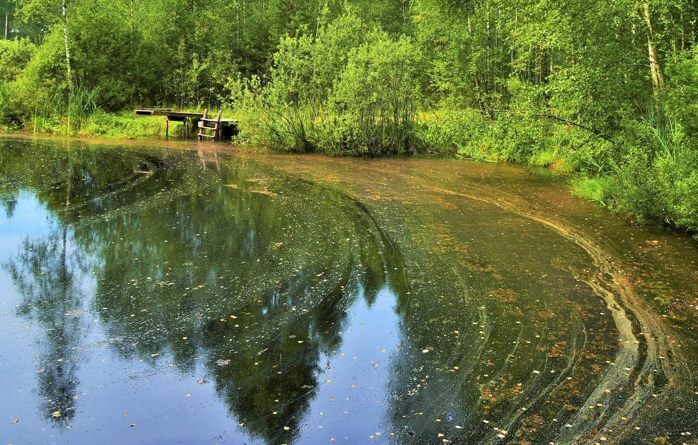 Лето уходит ...