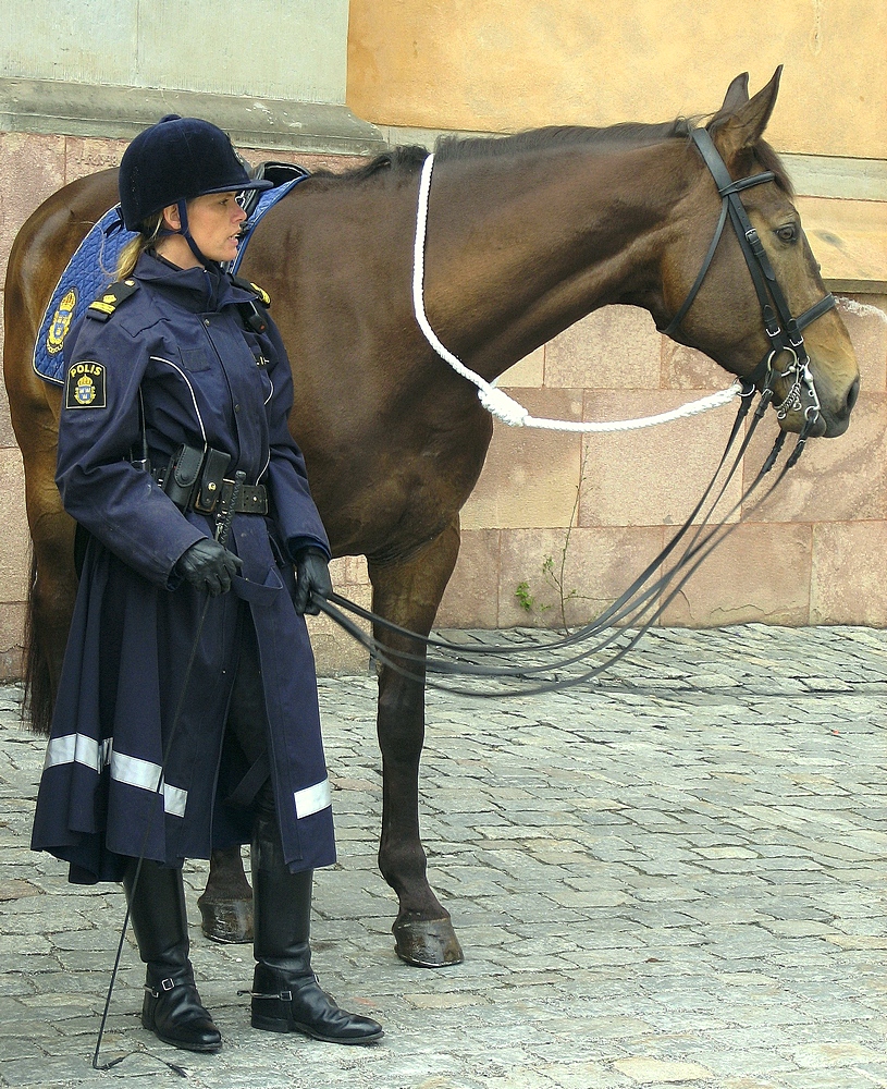 Конная полицейская