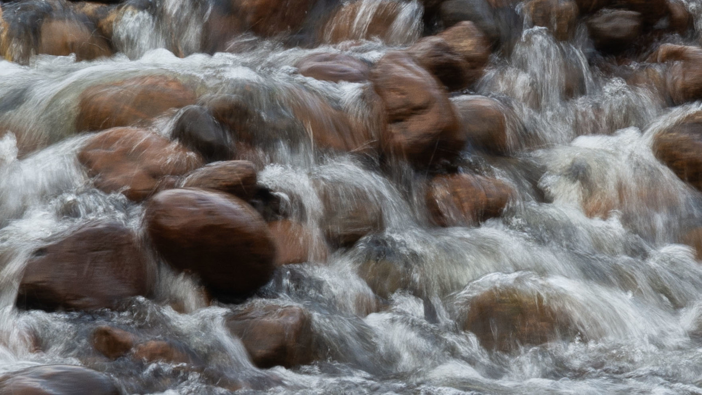 Домашнее фото