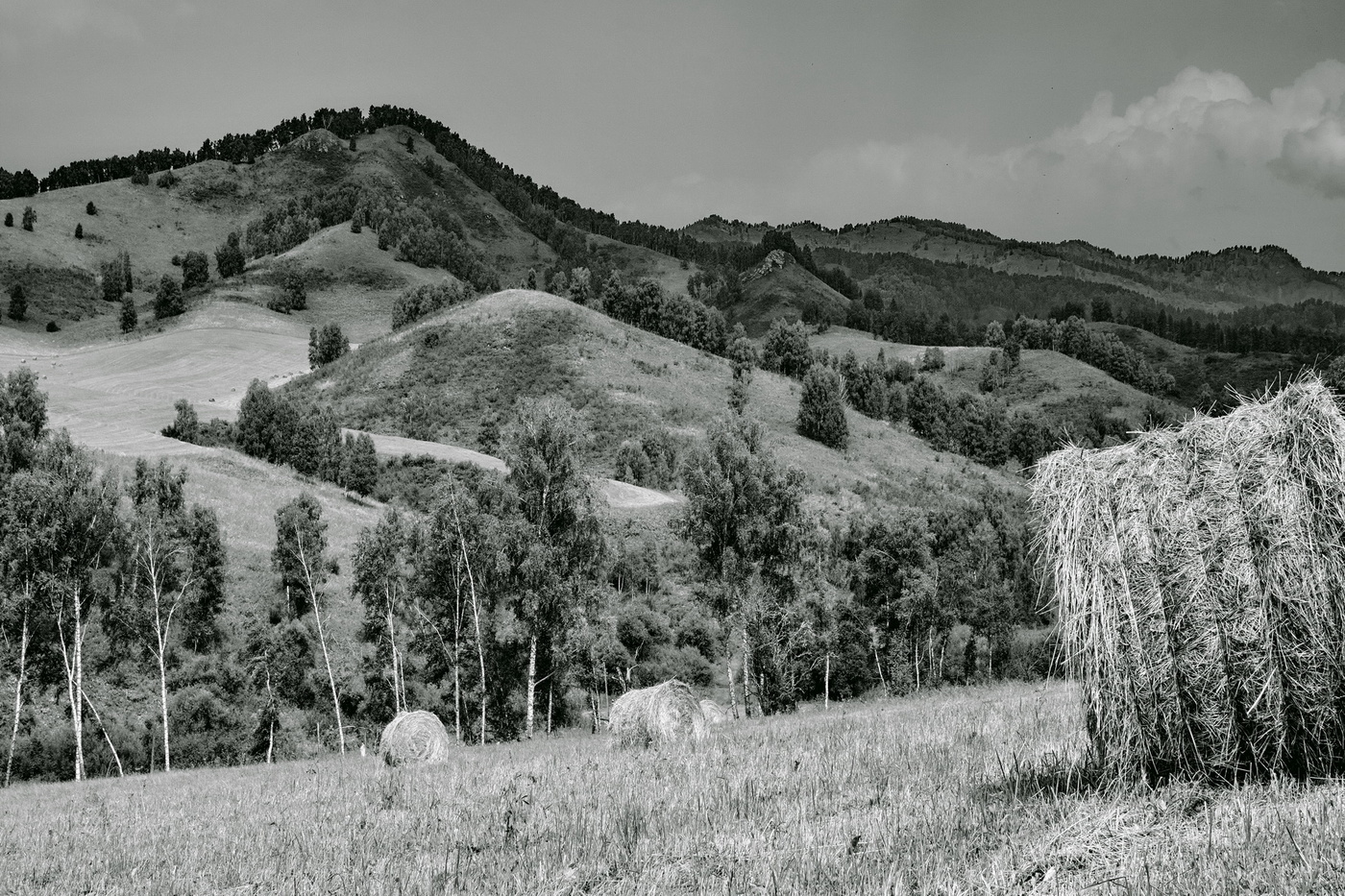 Августовским полднем.