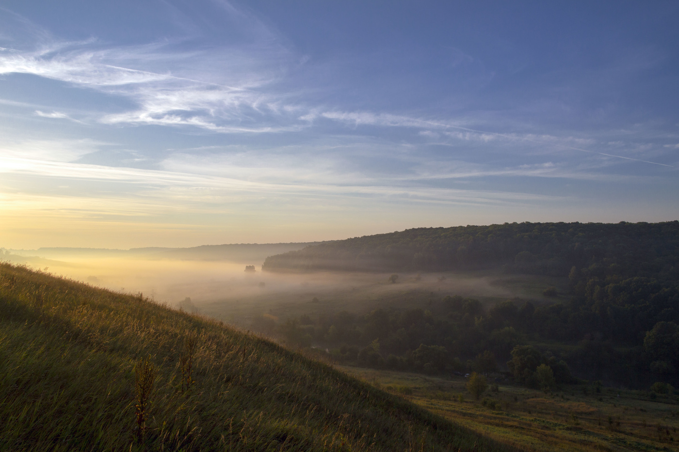 Солнце сквозь туман