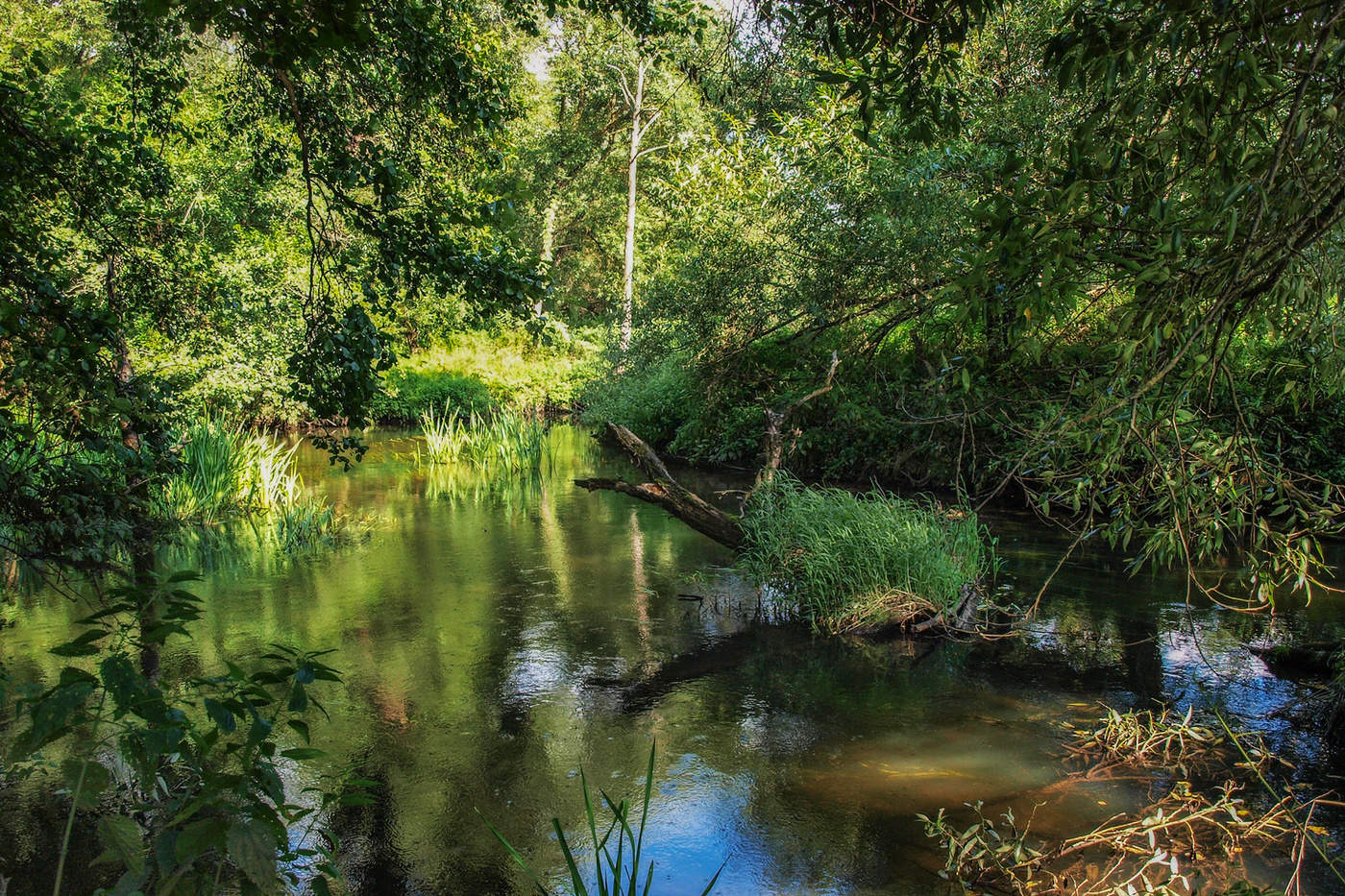 Уютный уголок