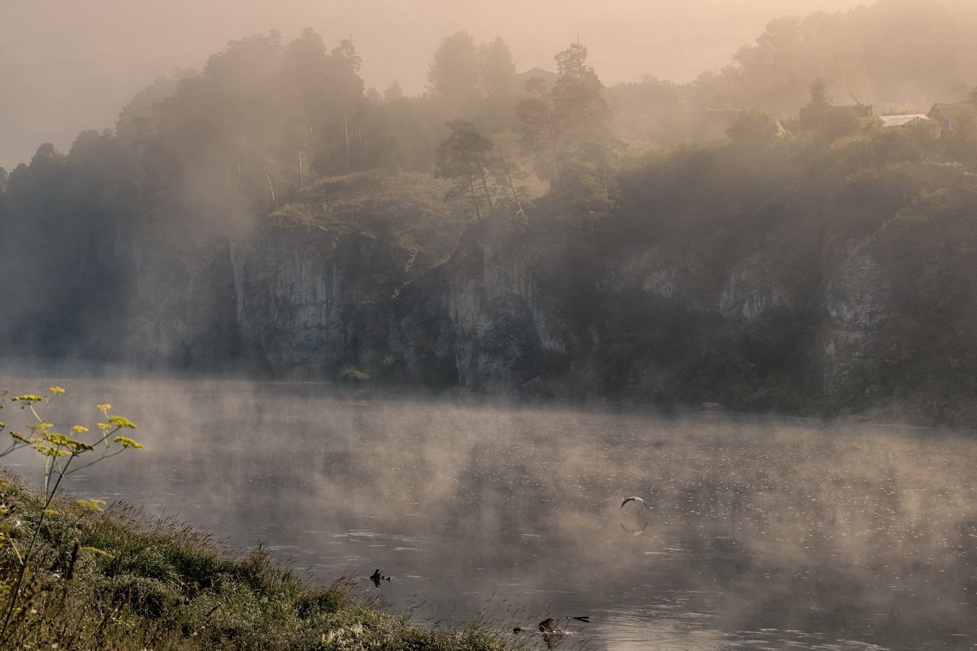 Утро в Межевом