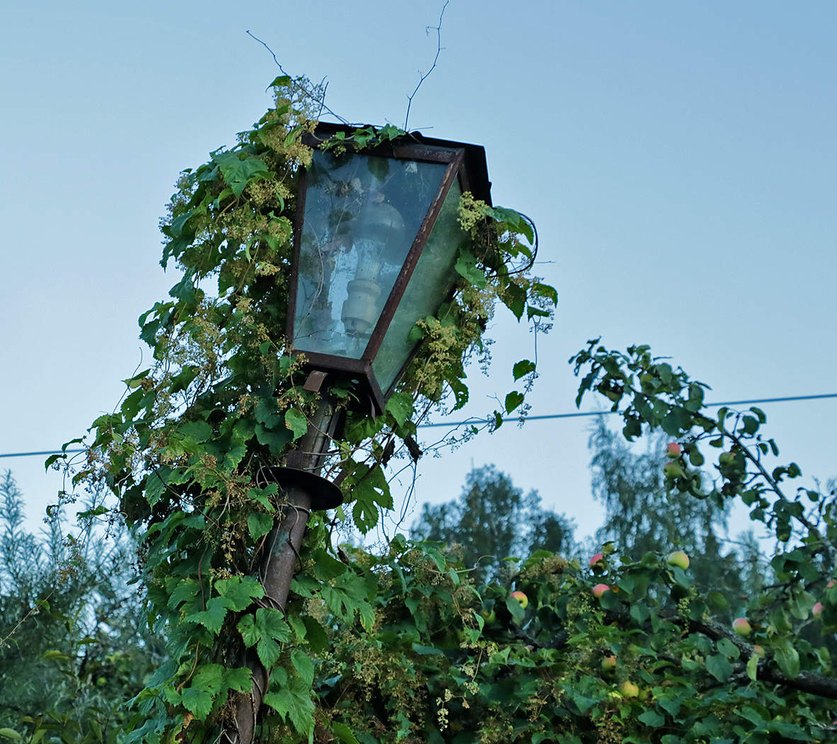 Из прошлого или позапрошлого века?..