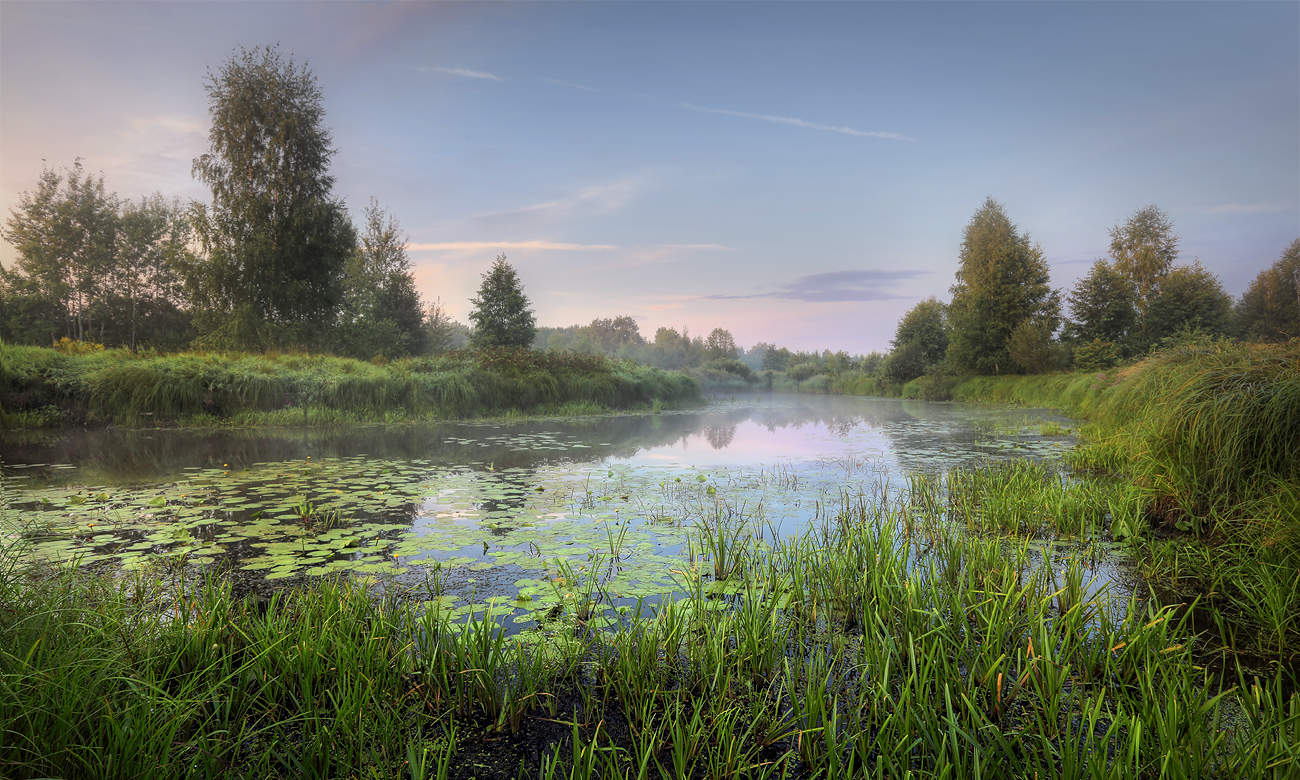 Тихая заводь..