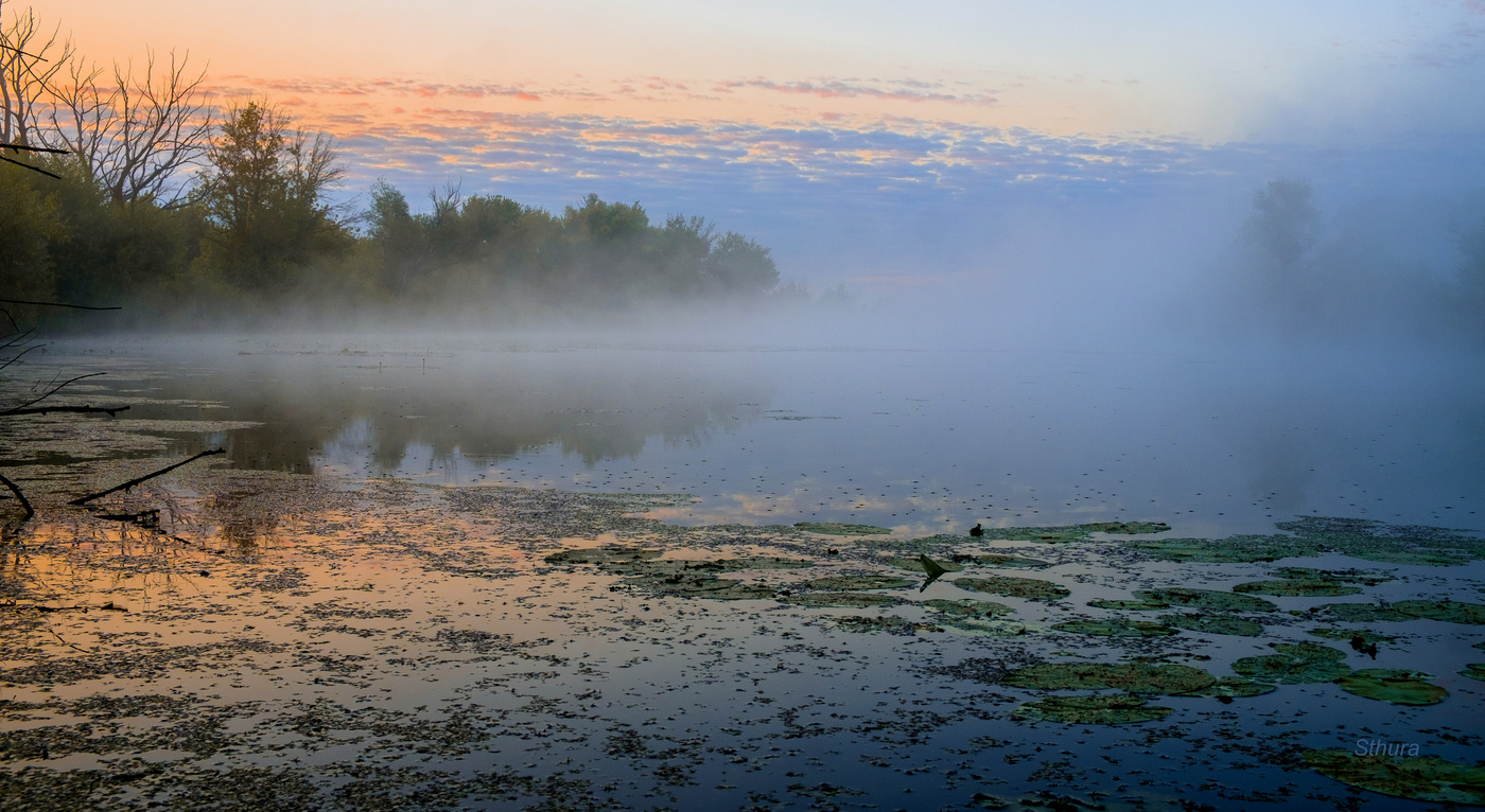Туман на озере.