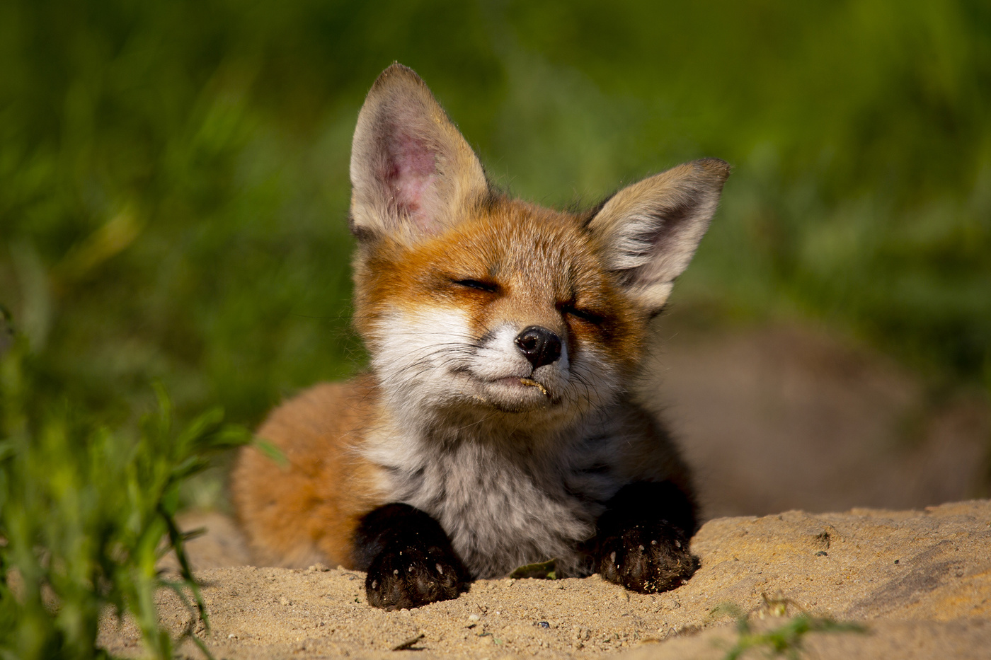 Да брось заливать