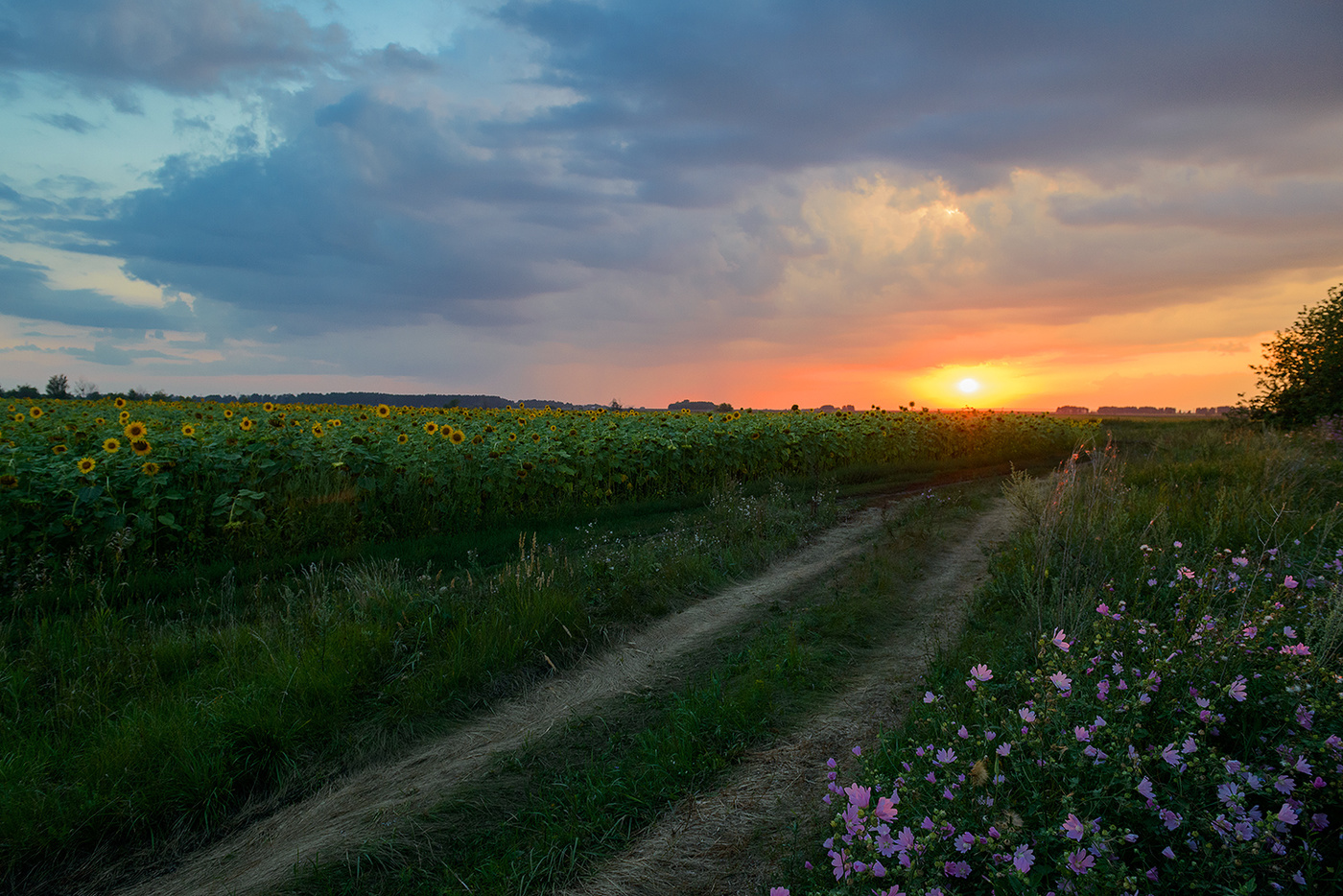 Дорога домой...