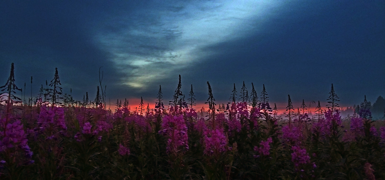 Закатный час