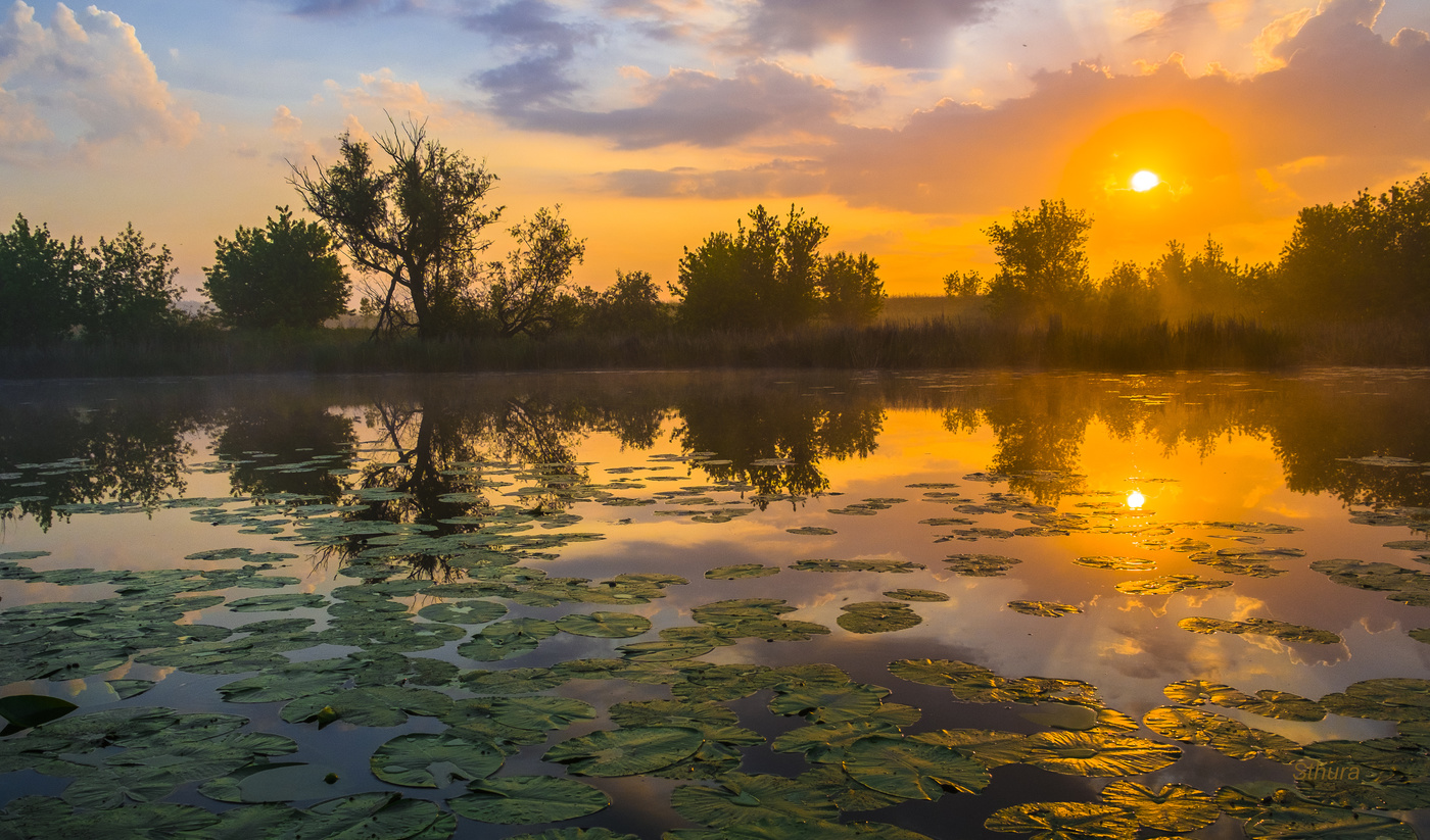 Час рассвета.
