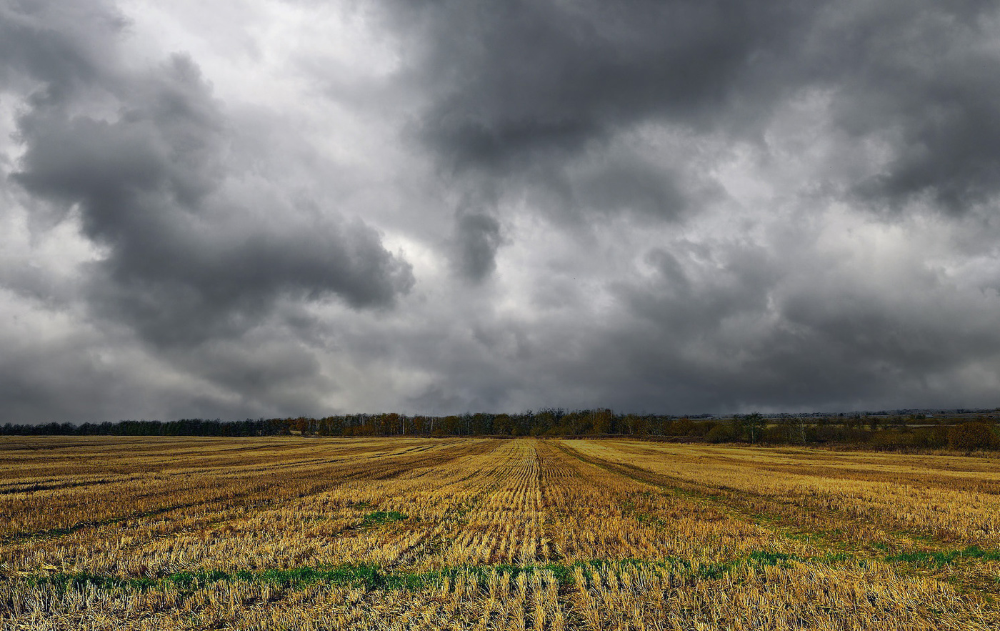 Кончается август.
