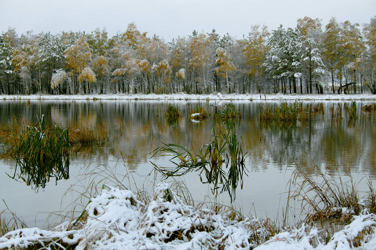Скоро сентябрь