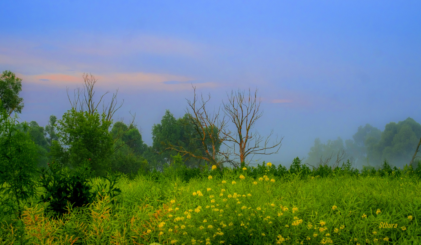 Ночь прошла.