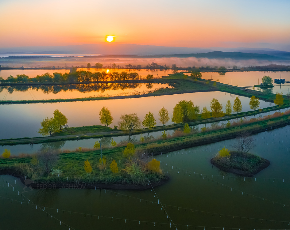 Пруды на рассвете