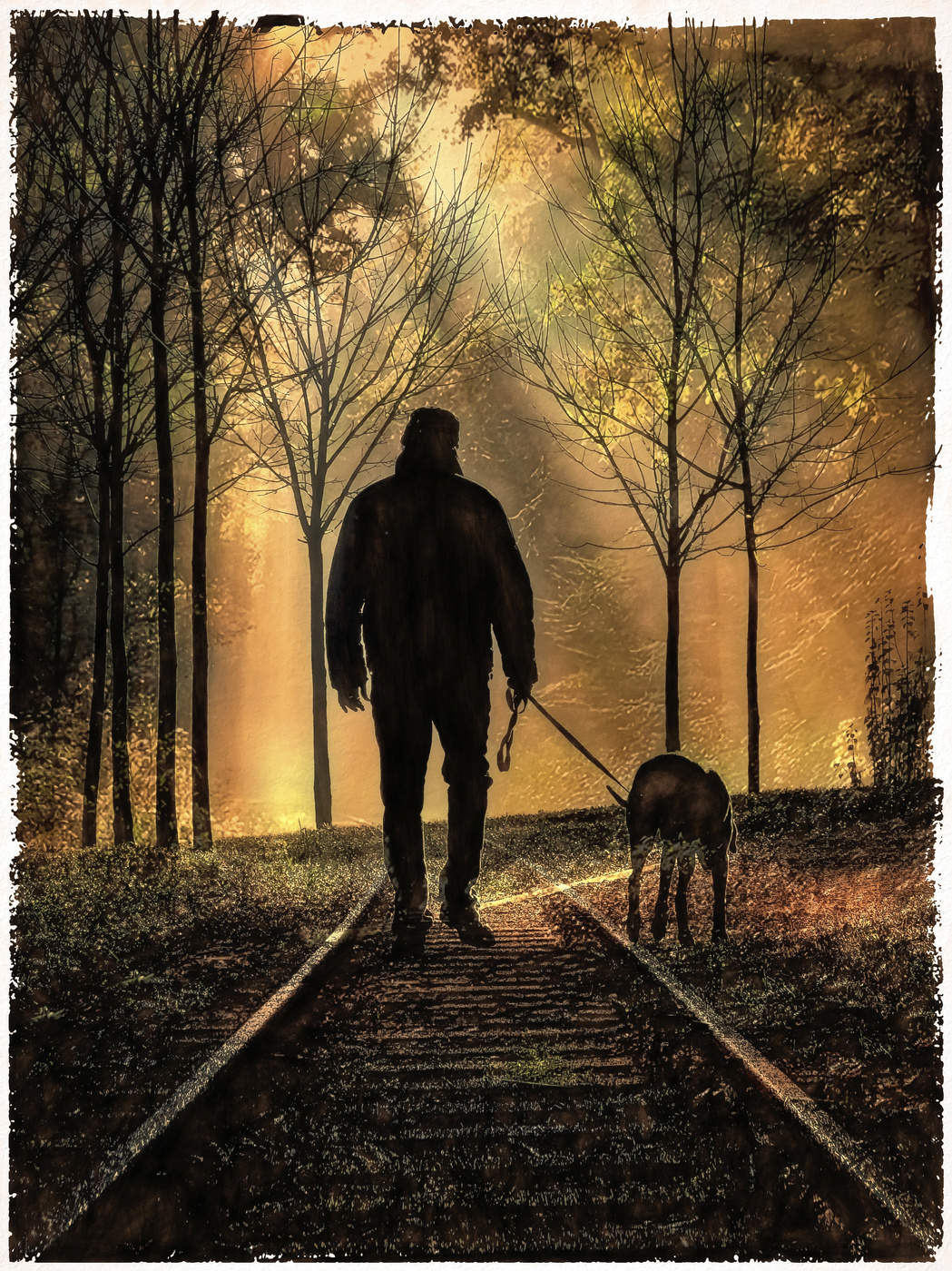 Узкоколейка.