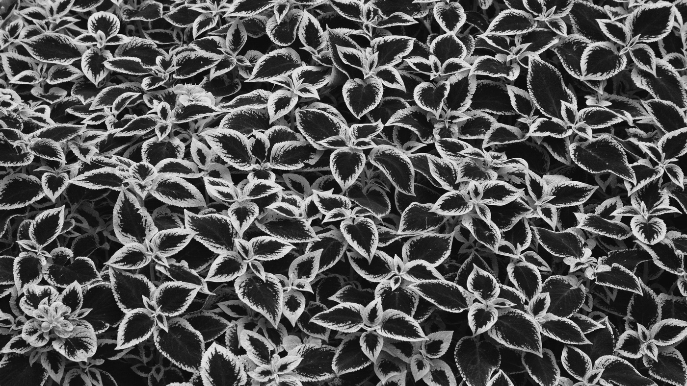 Жизнь вокруг