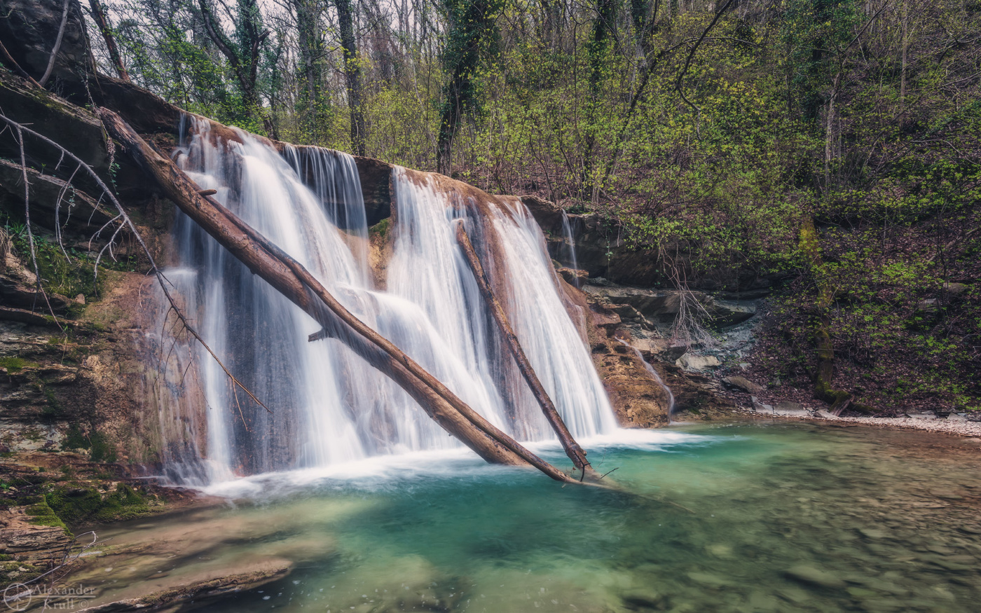 На весенней Жане...