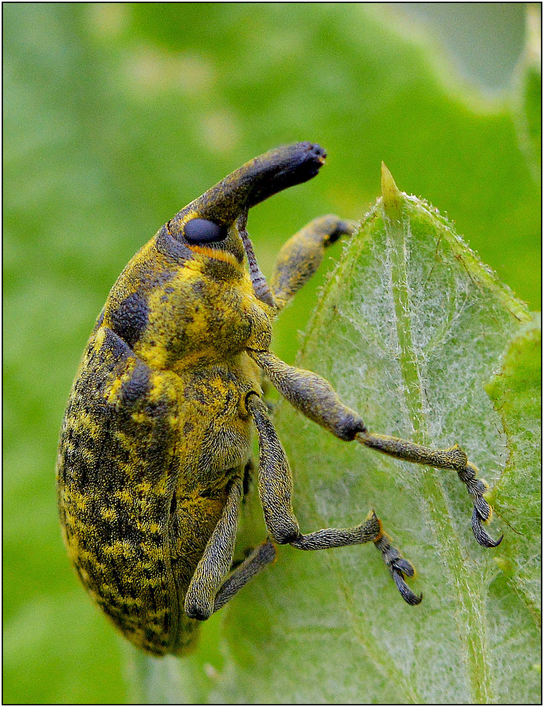 Вперед и вверх.