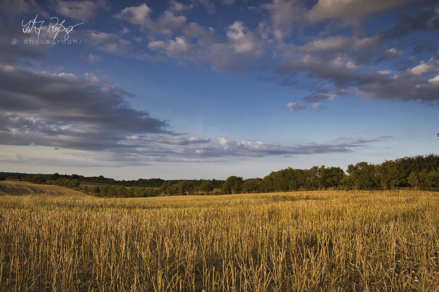 Der Herbst ist schon ganz nah...