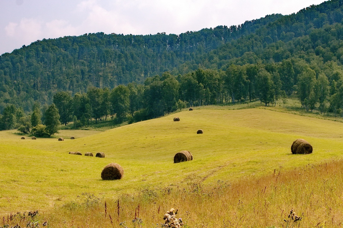 Жарким полднем.