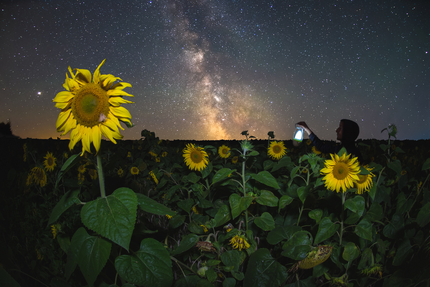 Звёздной ночью