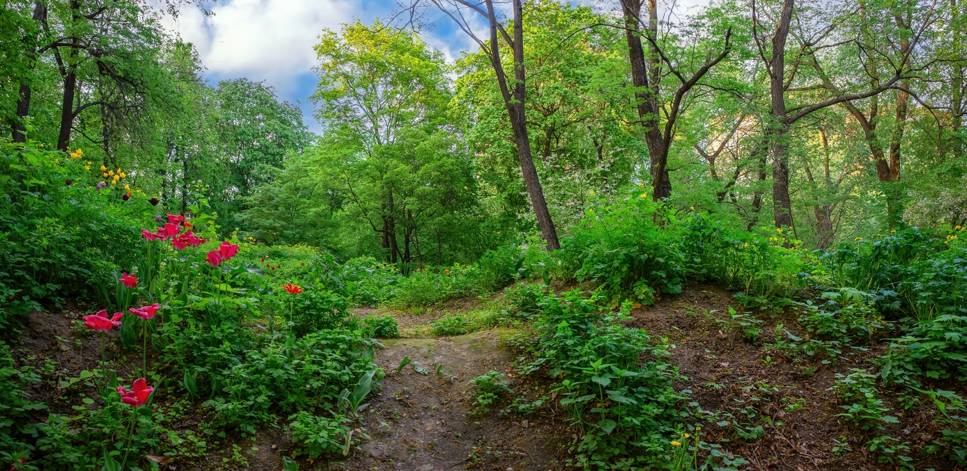 В Аптекарском огороде