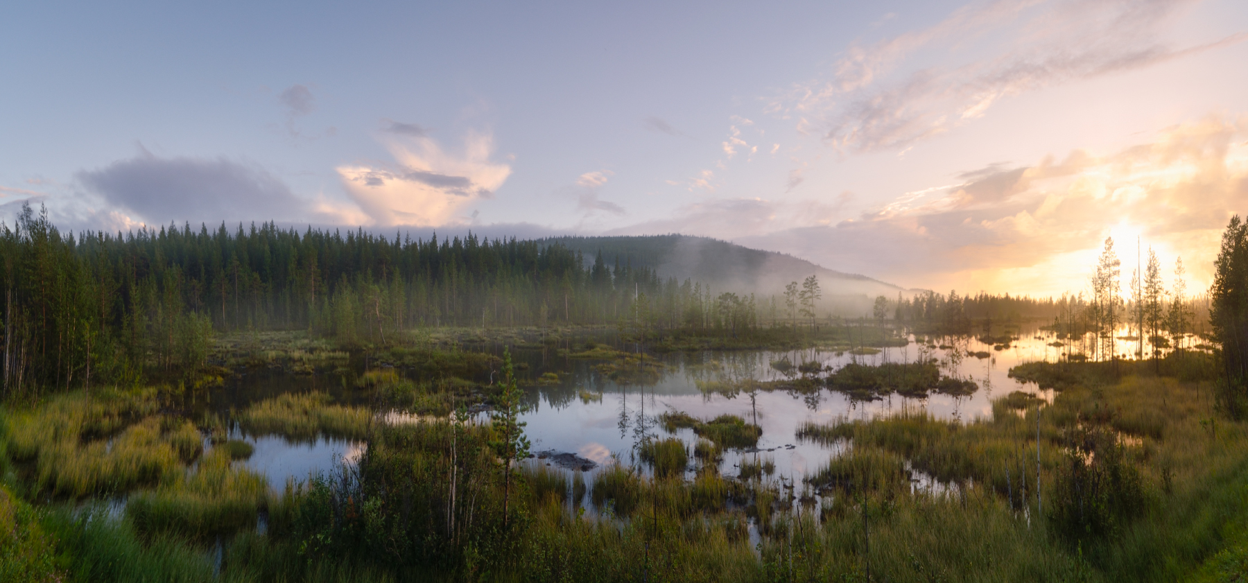 Закат на северных болотах