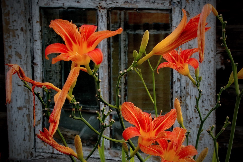 Старое окно.