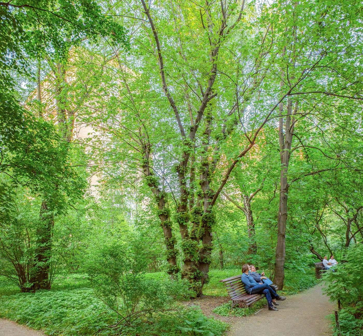В Аптекарском огороде