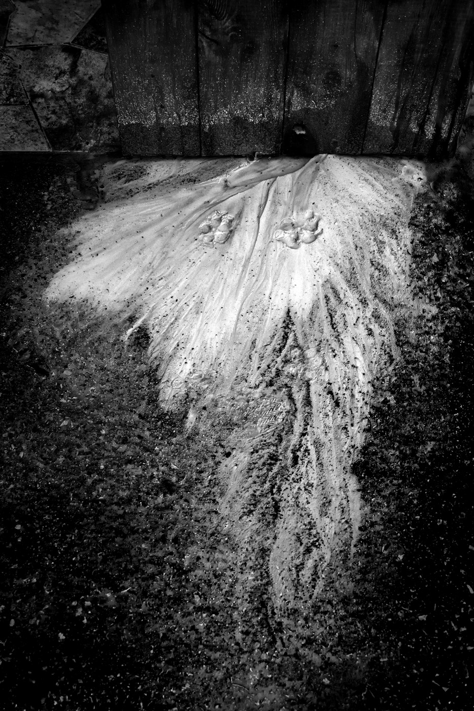 Где зарыта собака?