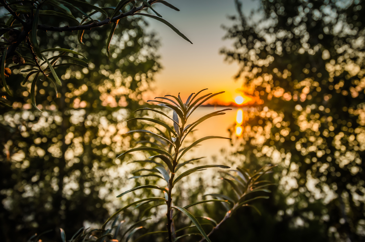 На закате дня.