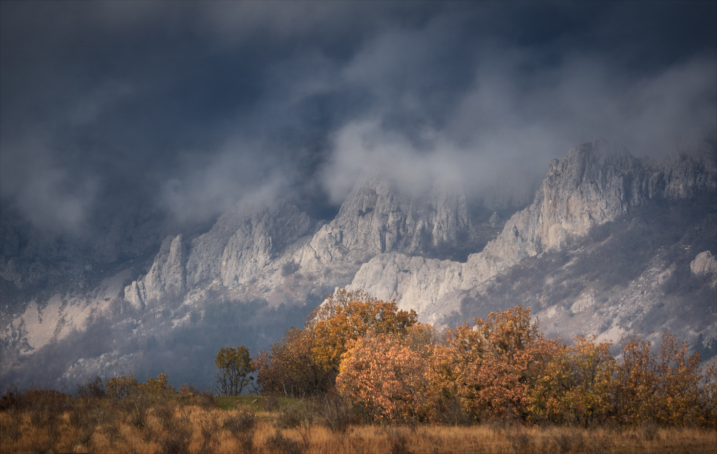 Тревожное...