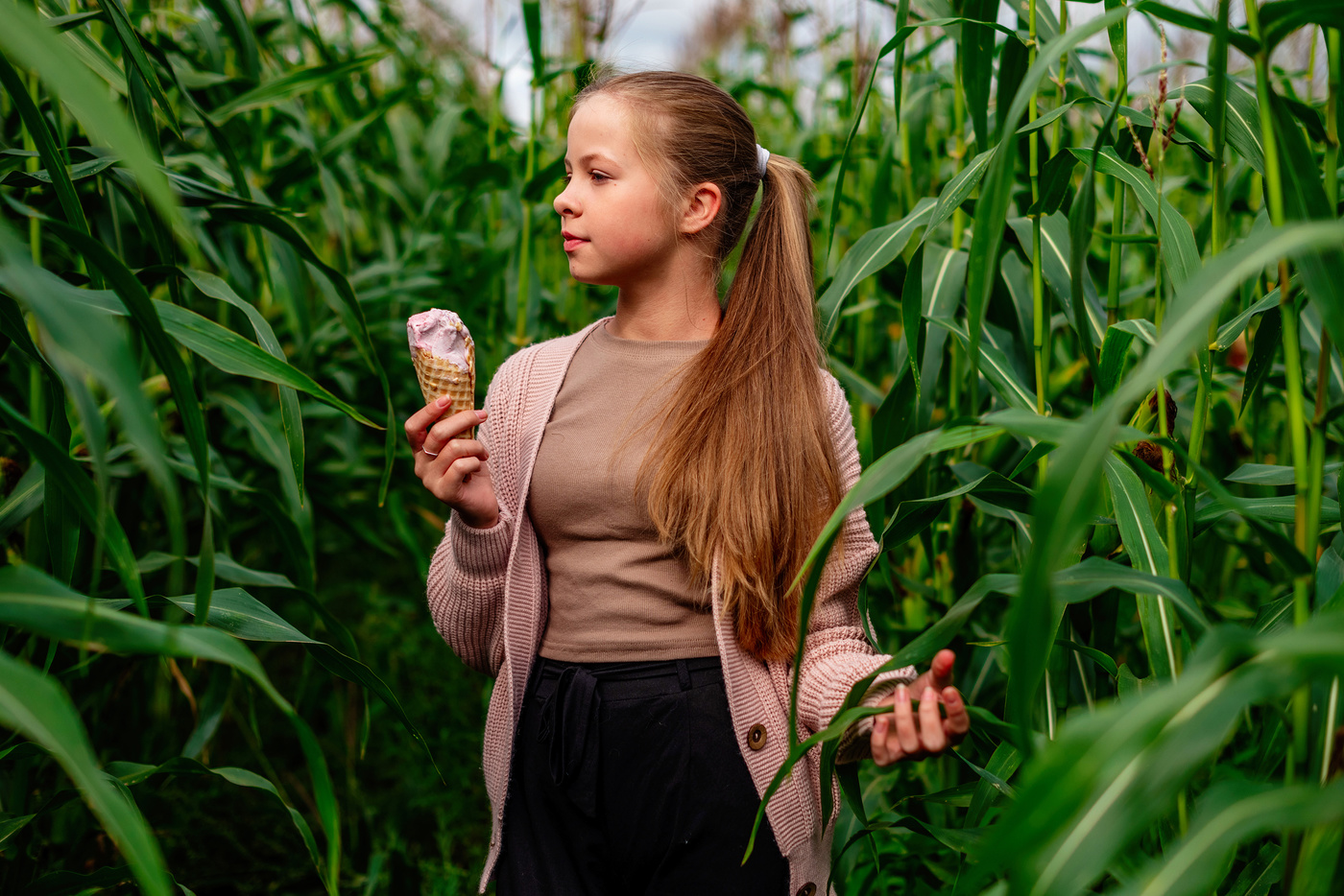 Кукурузная симфония