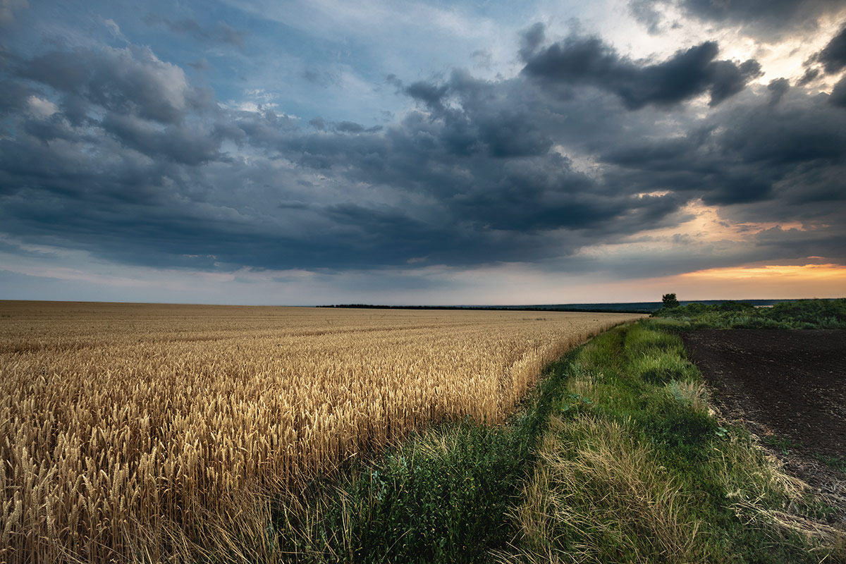 Июль прошел