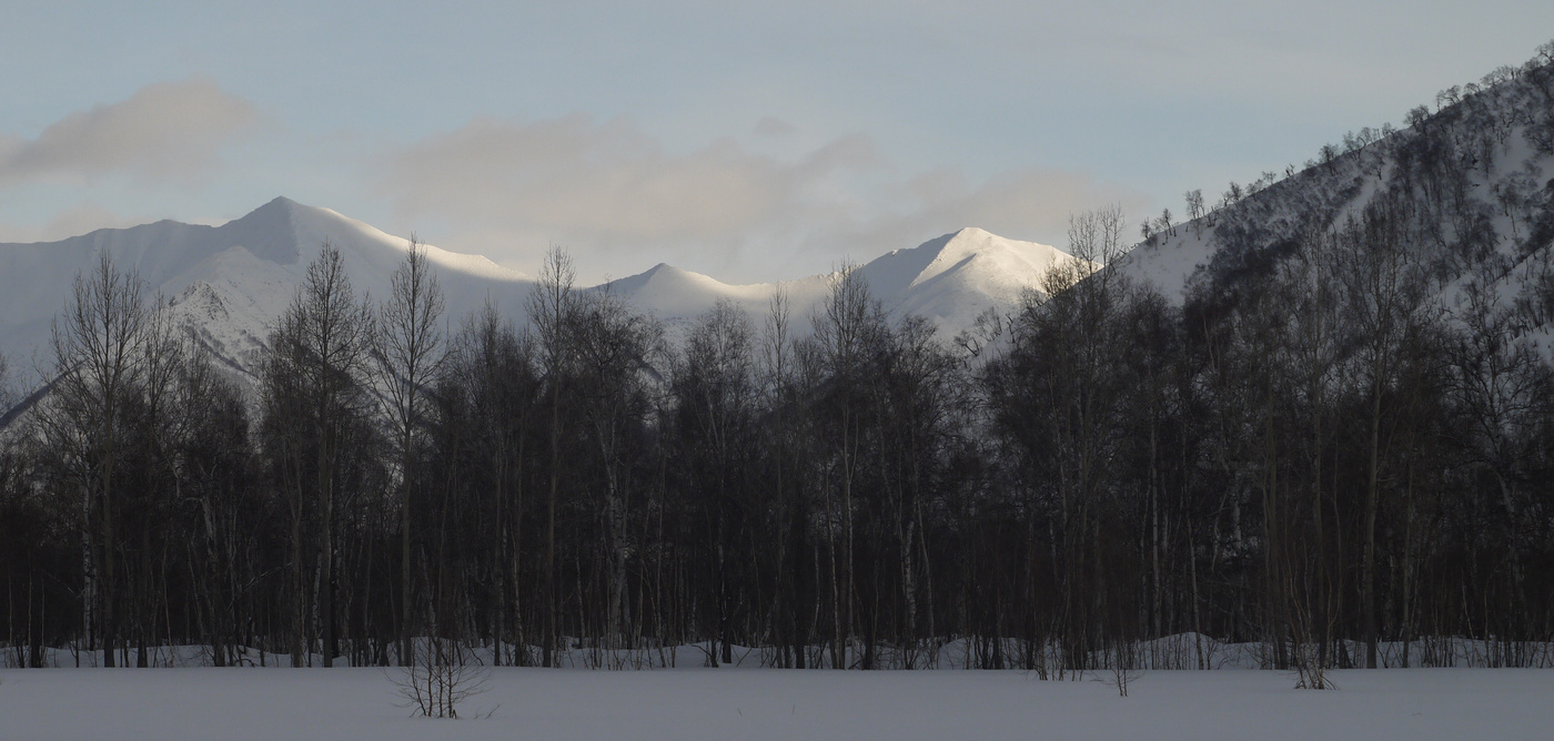 Касаясь вершин.