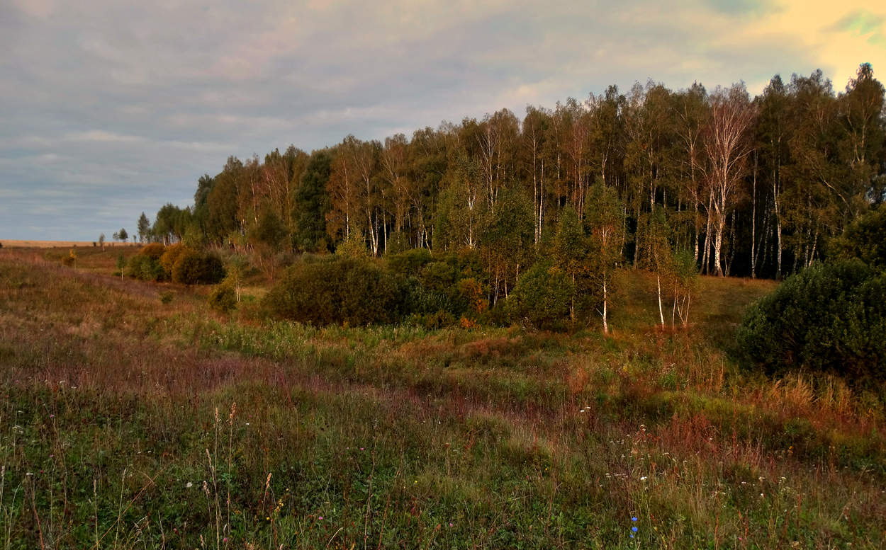 Осень наступает