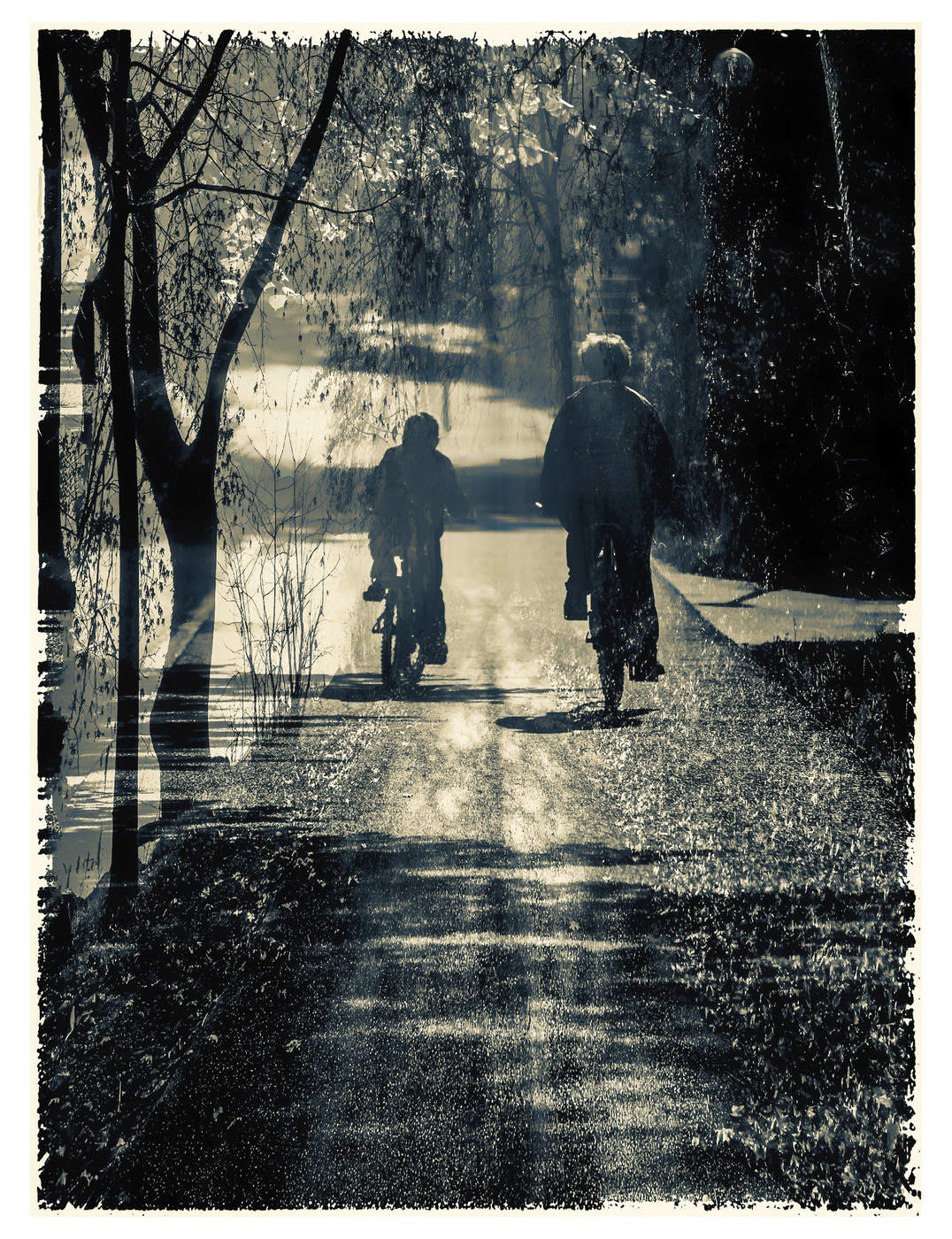 Велосипедисты.