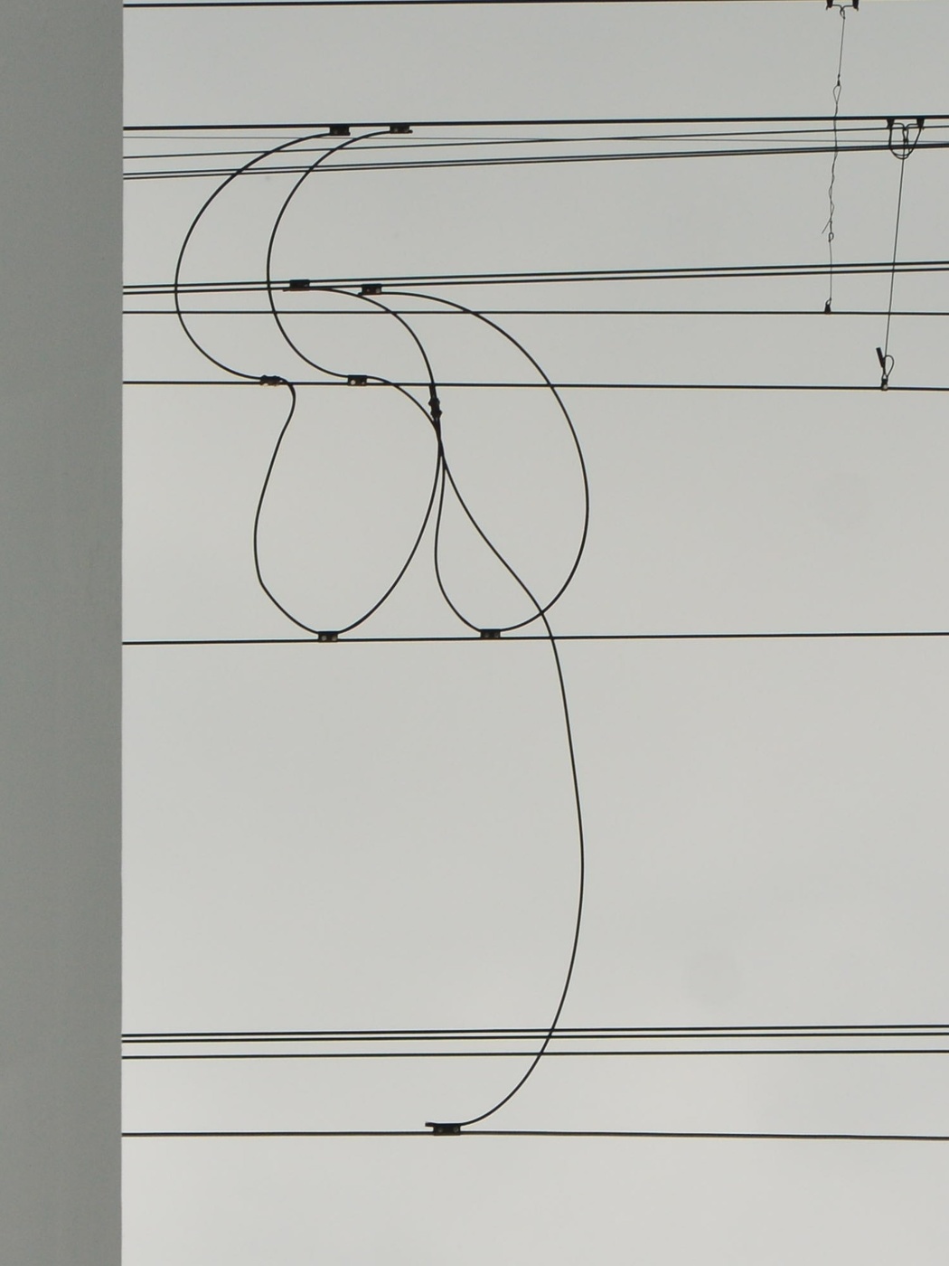 Жизнь вокруг