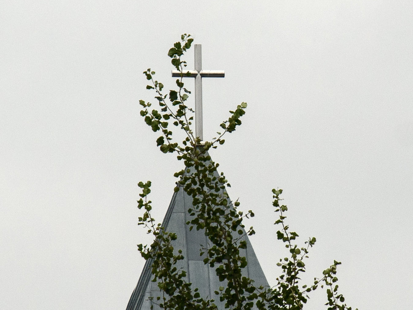 Жизнь вокруг