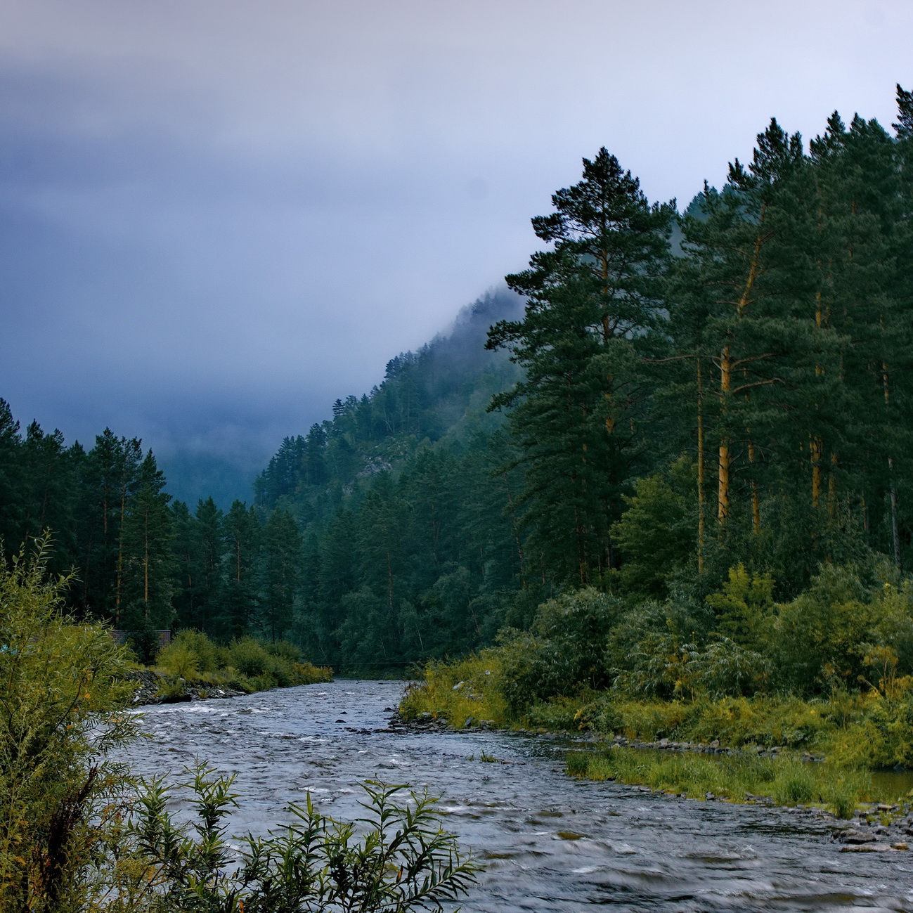 Прохладное утро.